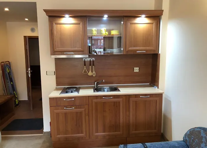 Апартаменты Simon1 Studio, 2 Min To Gondola Банско